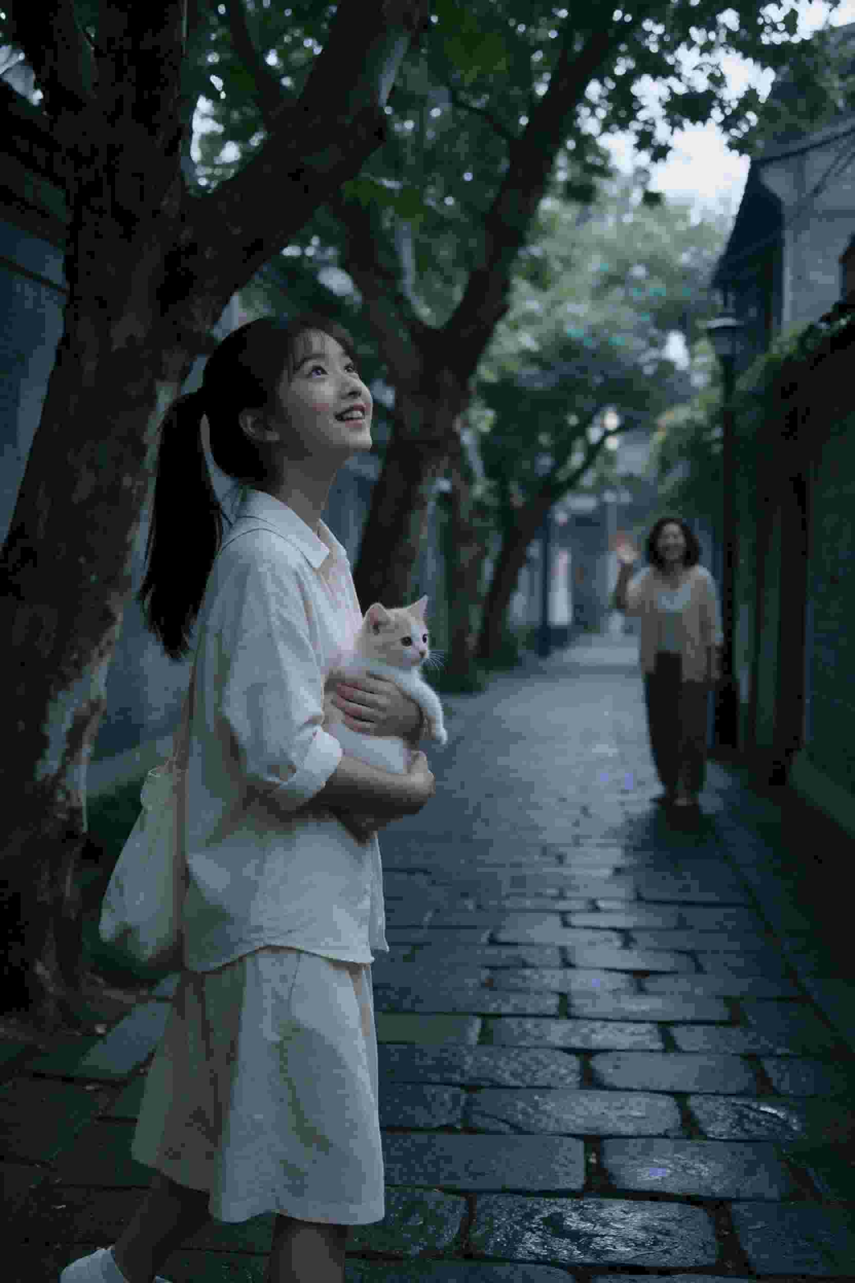 午后阳光